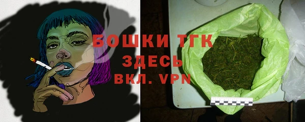 гидра Алексеевка