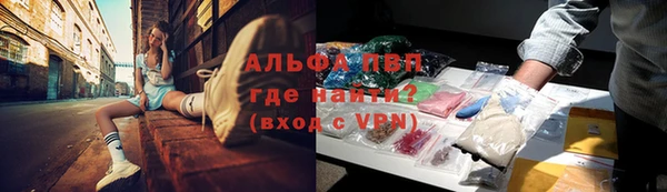 apvp Алзамай