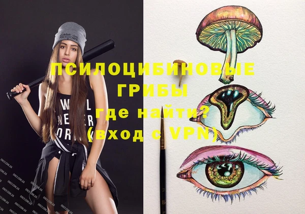 молекула духа Алексин