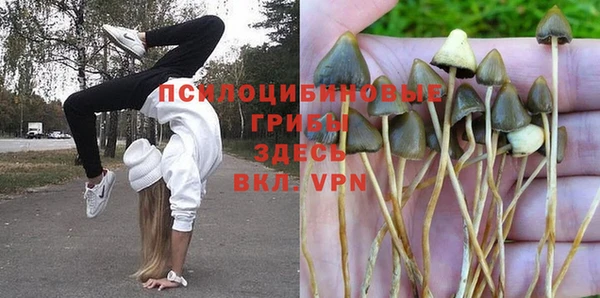 молекула духа Алексин