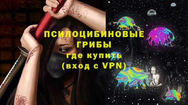 apvp Алзамай