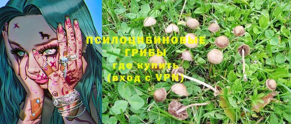 гидра Алексеевка