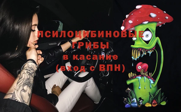 молекула духа Алексин