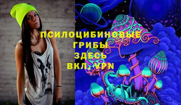 молекула духа Алексин