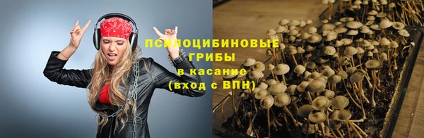 apvp Алзамай