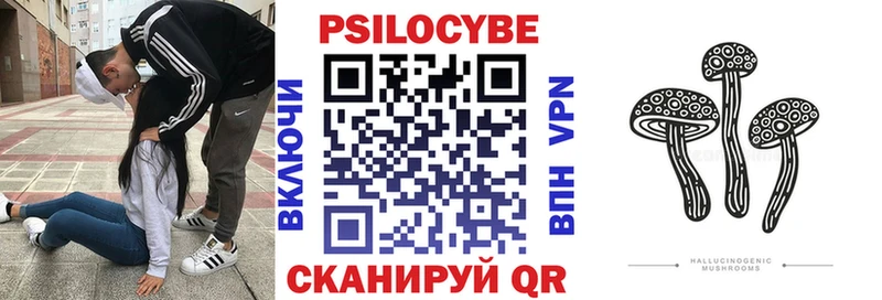 магазин продажи наркотиков Усть-Илимск Галлюциногенные грибы мицелий