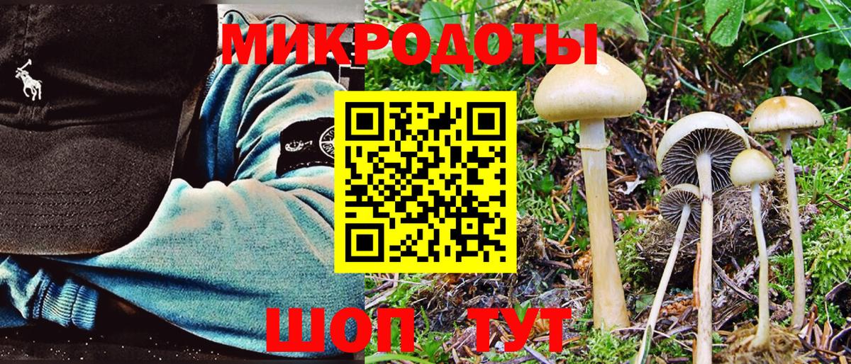 закладка  Псилоцибиновые грибы Cubensis  Псилоцибиновые грибы Psilocybine cubensis  Вход с VPN  Усть-Илимск 